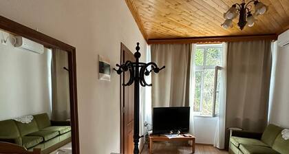 Amalia's House