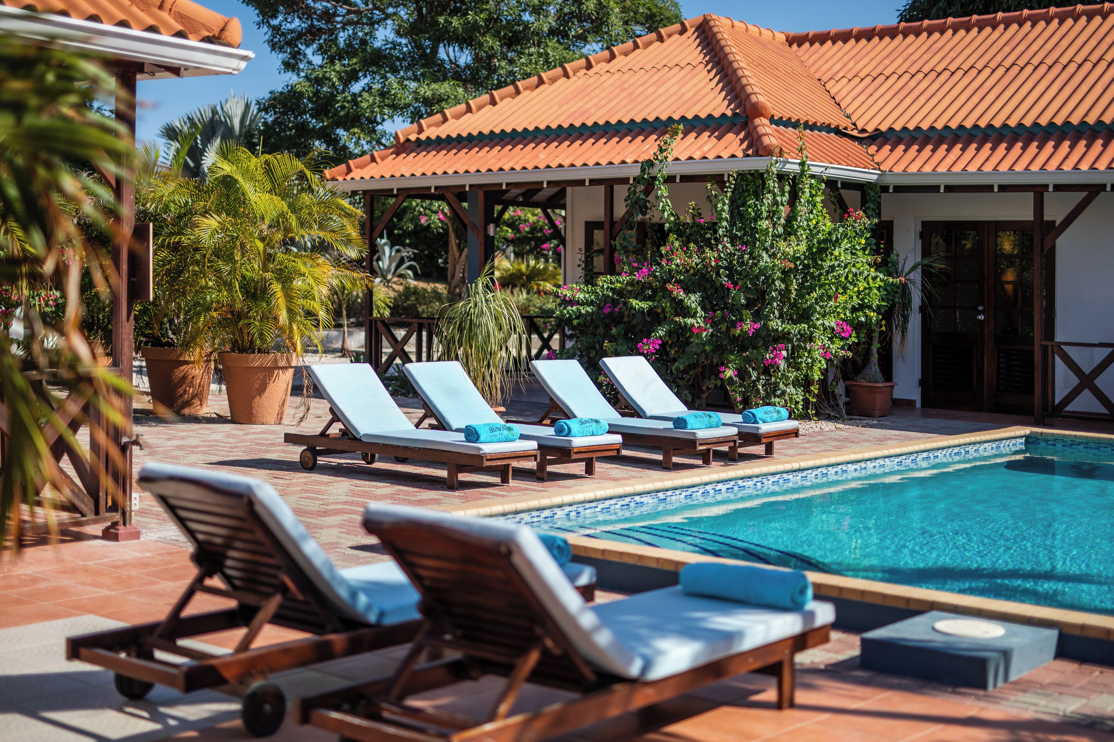 Outdoor pool, open 8:00 AM to 9:00 PM, pool umbrellas, pool loungers