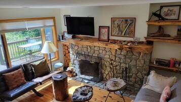 テレビ、暖炉、書庫、ビデオライブラリ