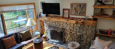 TV, fireplace, books, video library