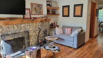 TV, fireplace, books, video library