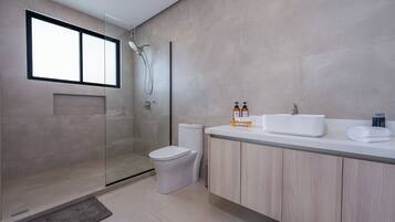 Ducha, secador de pelo, toallas, jabón