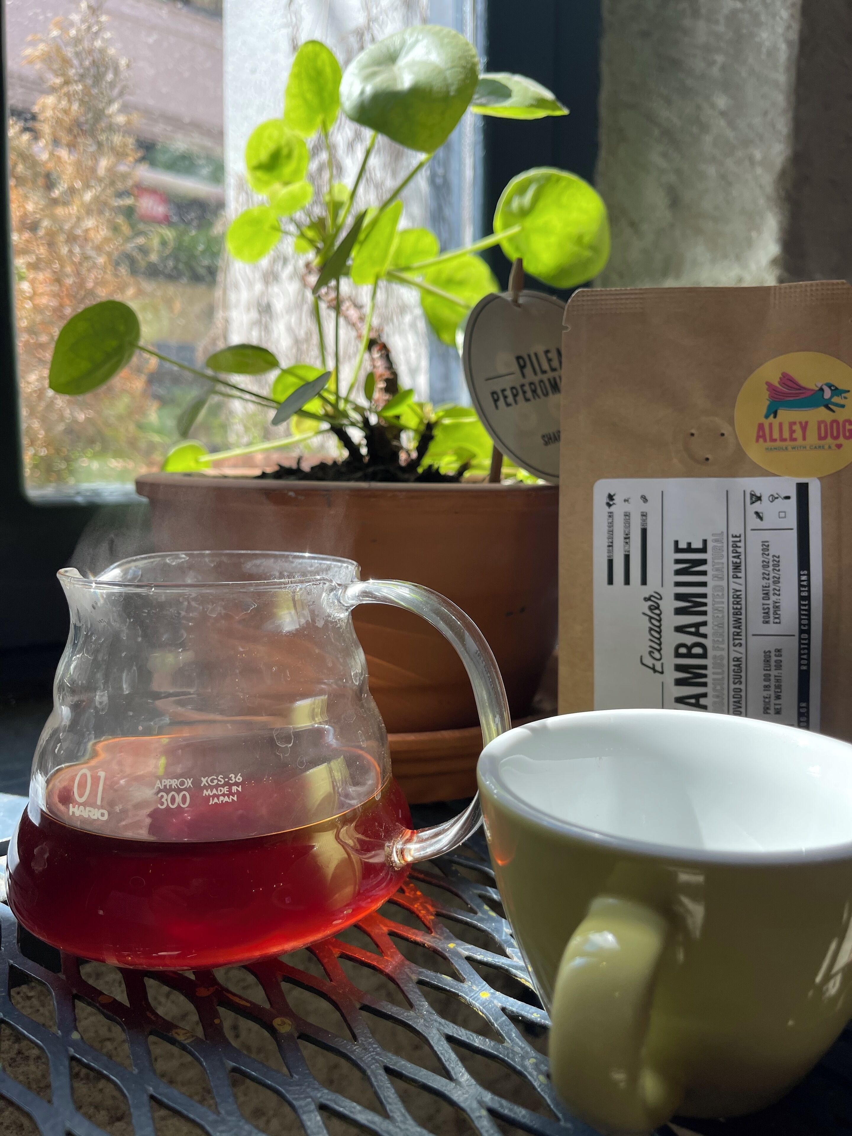 A clear glass teapot filled with red tea, a yellow mug, a potted plant, and a coffee bag on a metal table by a window.