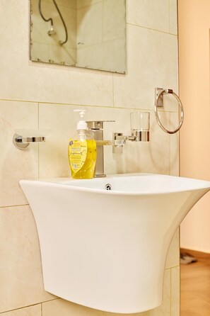 Shower, hair dryer, bidet, towels