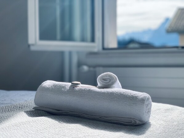 Miscellaneous - EVA o Wellnessoasis o Montainview o Pizzaoven o (Ingenbohl)