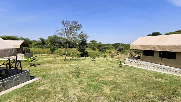 Basic Tent, Patio, Garden View | In-room safe - Africa Safari Rift Valley Camping  (Magara)