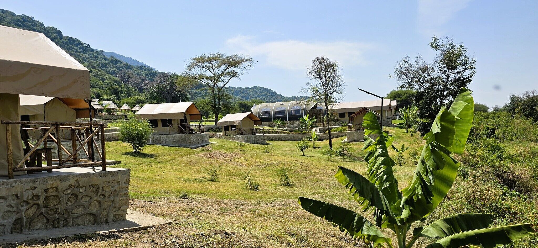 Basic-telt - terrasse - udsigt til have | Pengeskab på værelset