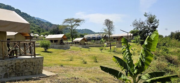 Basic Tent, Patio, Garden View - Africa Safari Rift Valley Camping  (Magara)