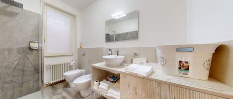 Shower, hair dryer, bidet, towels