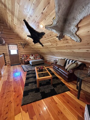 Smart TV, fireplace, DVD player - Cozy cabin in beautiful Meeker, CO-10 miles from town, perfect for OHV travelers (Meeker)