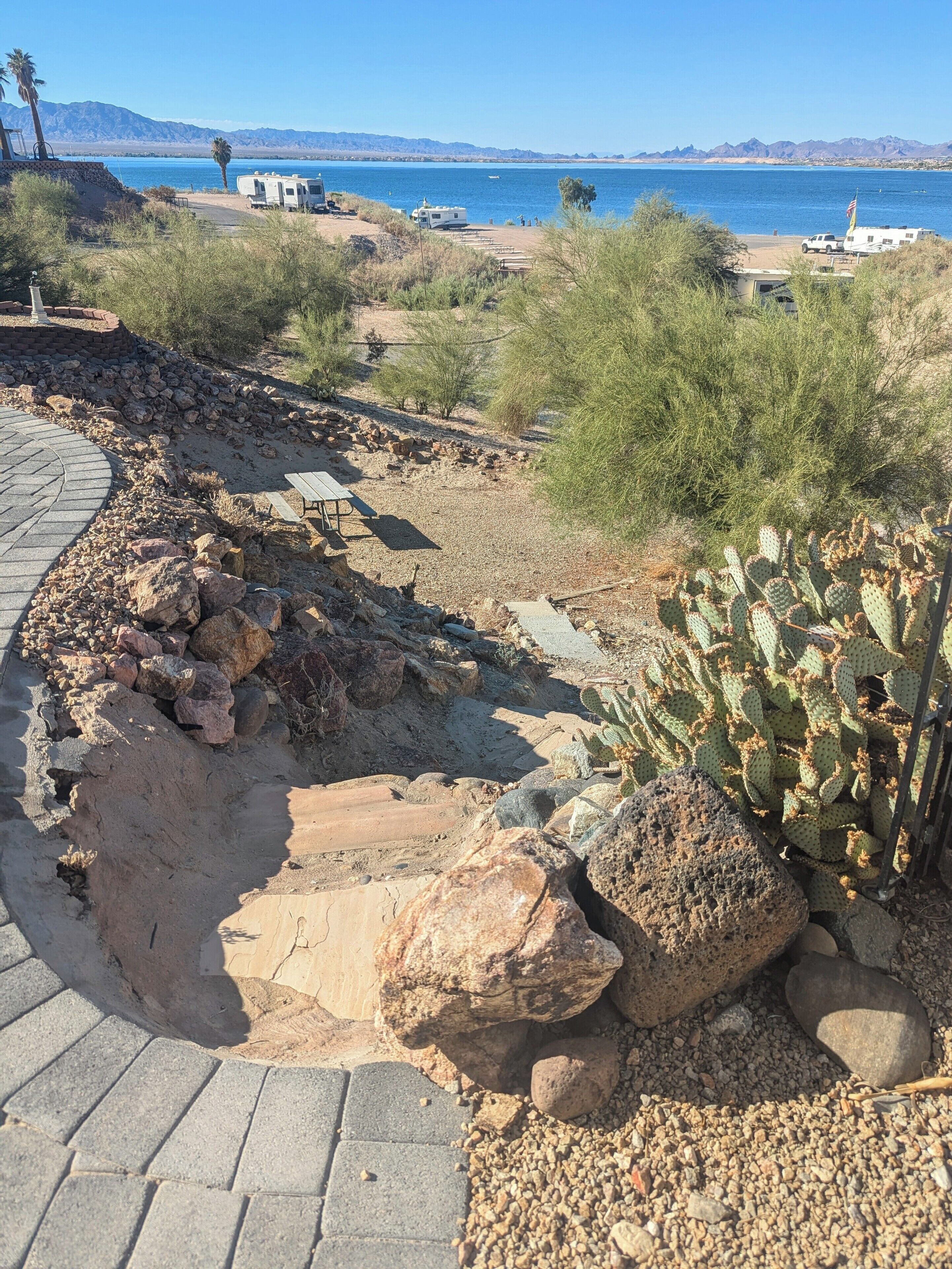 Un paysage désertique avec un sentier pavé, un jardin de cactus et des camping-cars stationnés près d’une étendue d’eau.