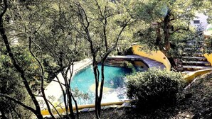 Ein Pool, von Bäumen umgeben, mit einer Treppe, die zu einem Gebäude führt.