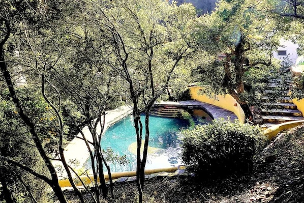 A pool surrounded by trees, with a staircase leading up to a building.