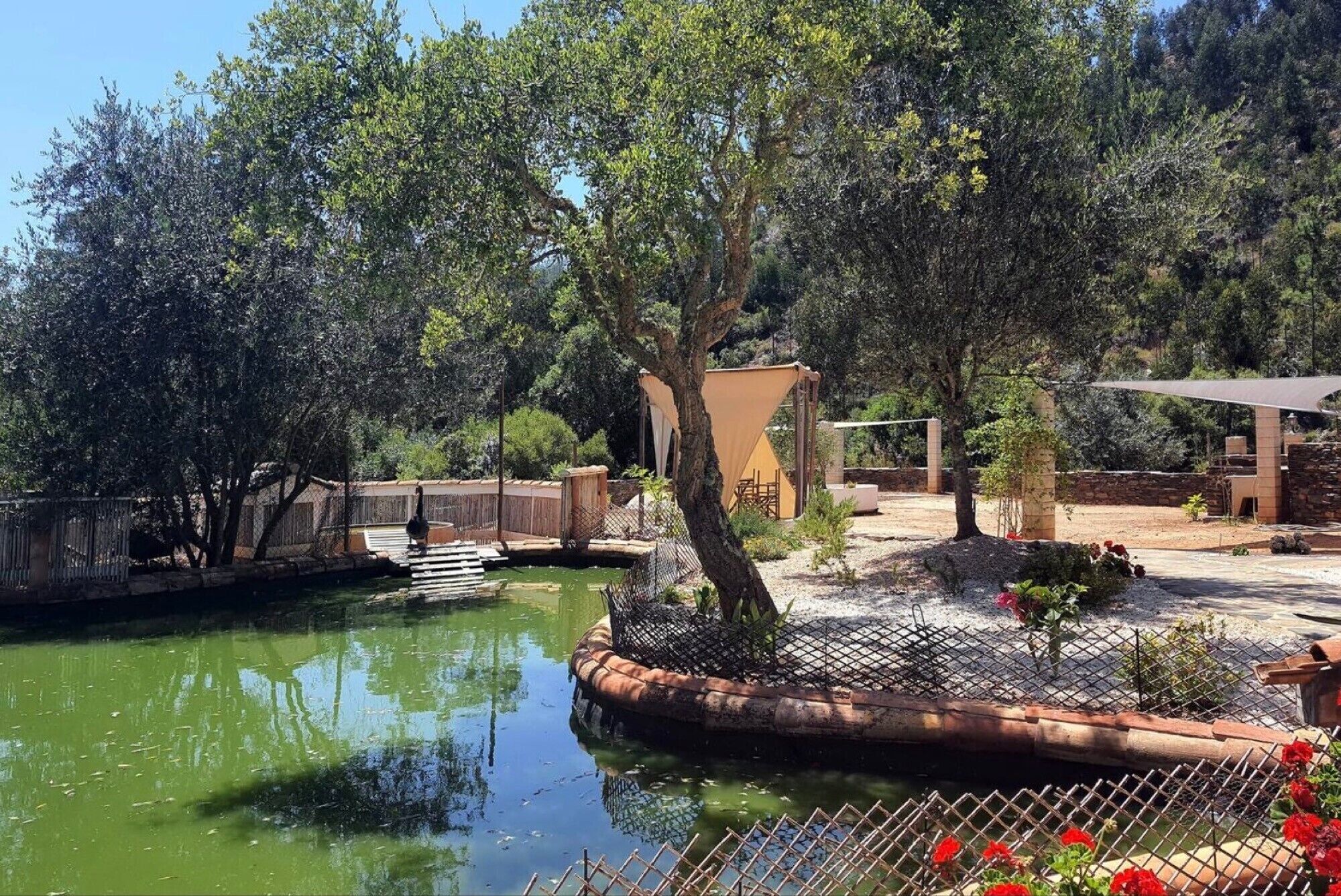 Un espace extérieur paisible, agrémenté d’un étang, d’arbres et d’une structure en bois.