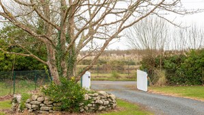 Camino rural que conduce a una propiedad cerrada con muro de piedra y un árbol.