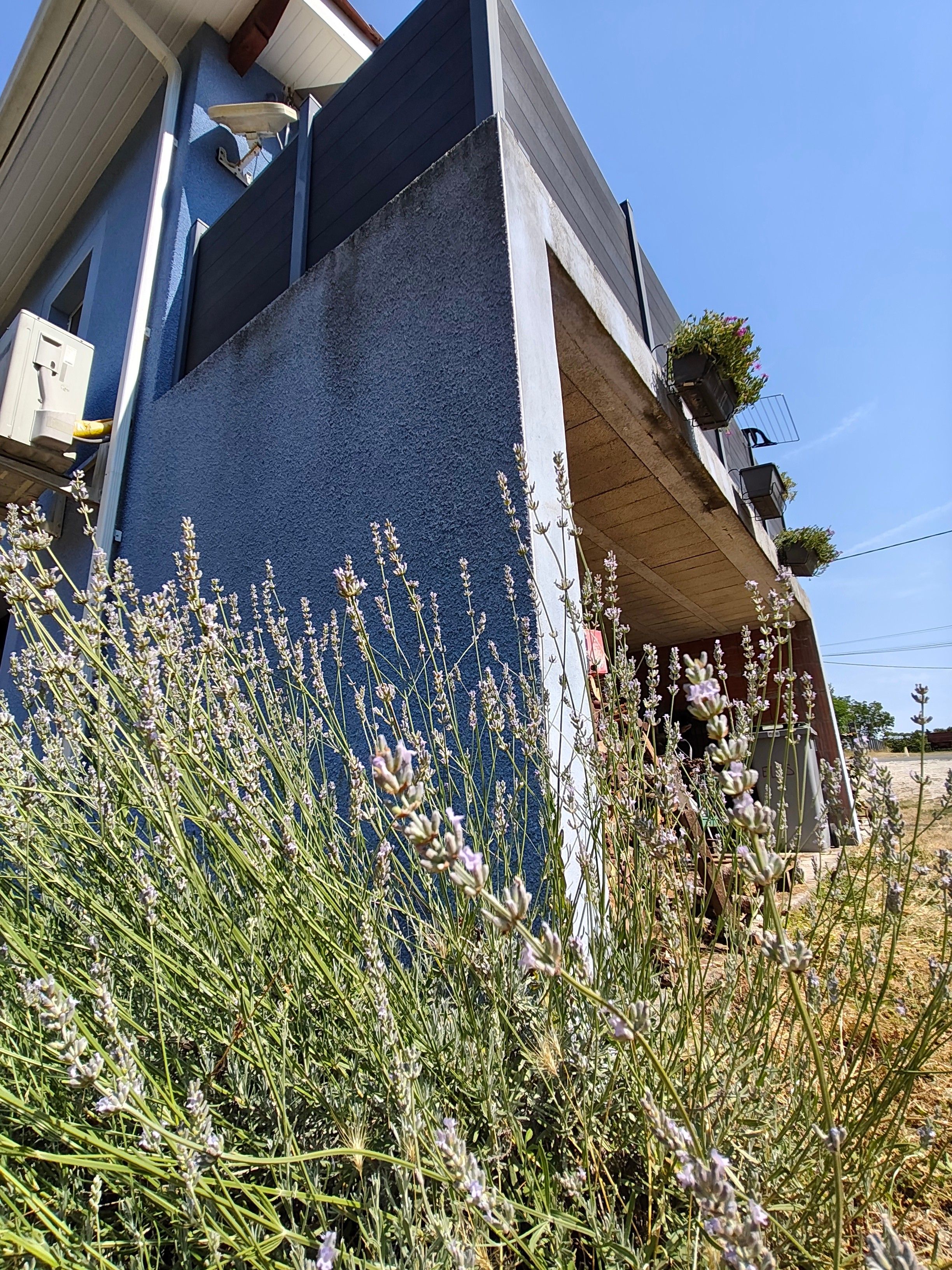 Ein Gebäude mit Betonfassade, Satellitenschüssel und Pflanzen in Töpfen auf dem Balkon.