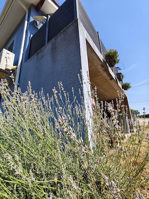 A building with a concrete facade, satellite dish, and potted plants on the balcony. - Gite "Entre Terre et Ciel" proche Saint Emilion (Saint-Vincent-de-Pertignas)