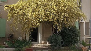 Un bâtiment doté d’une entrée donnant sur un jardin, d’une statue et d’une variété de plantes.