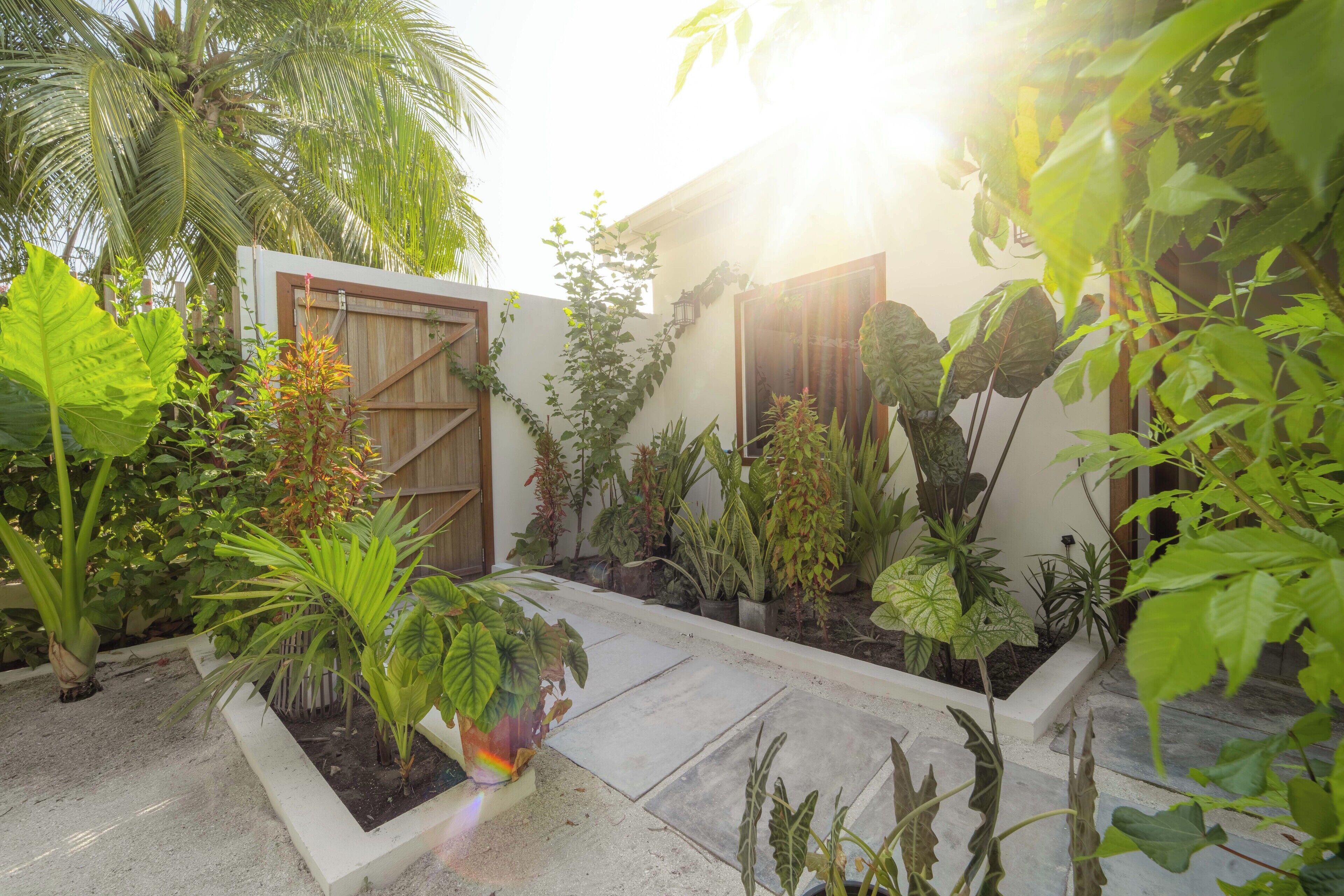 A garden with various plants and a wooden fence.