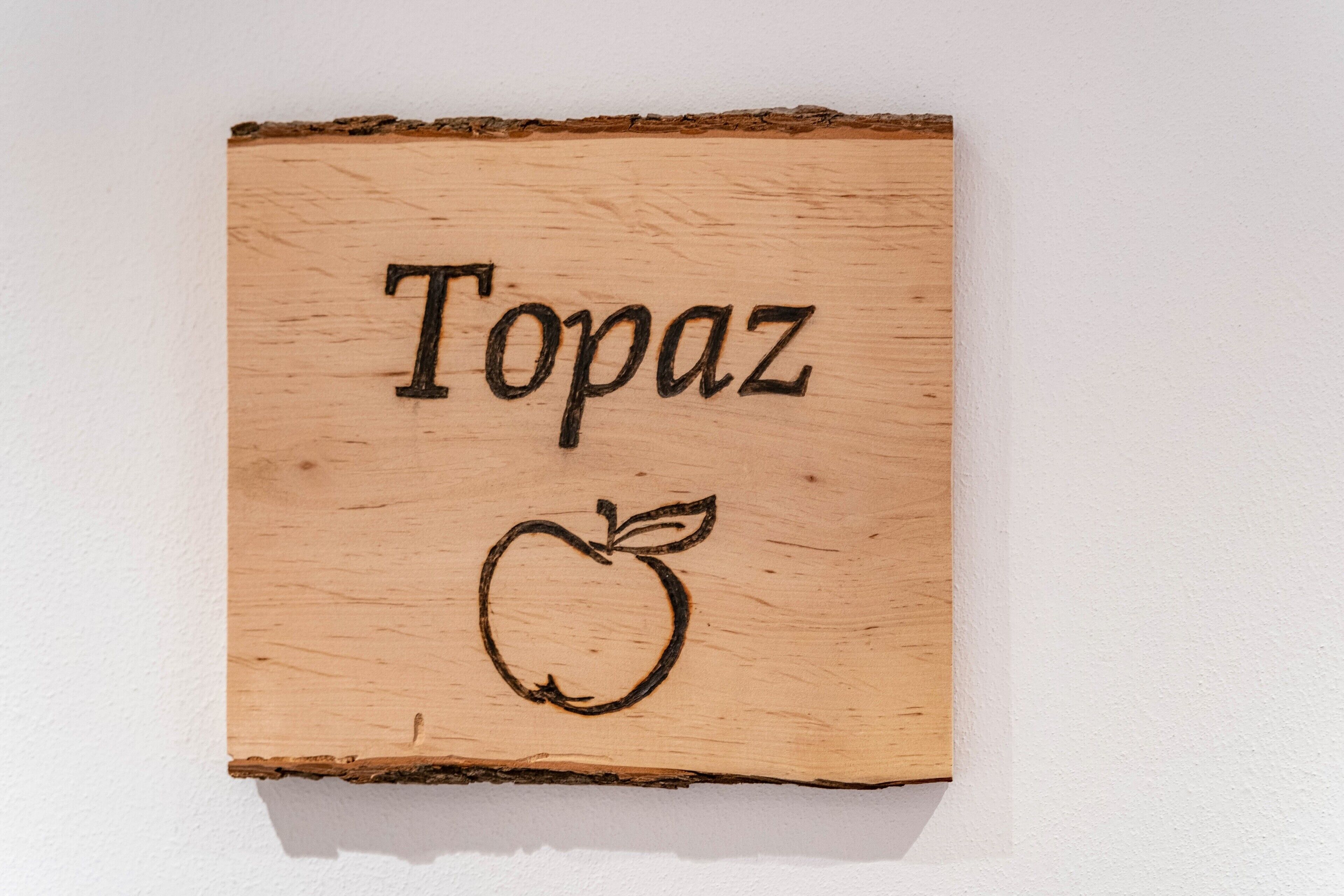 A wooden sign with the word 'Topaz' and an apple illustration.
