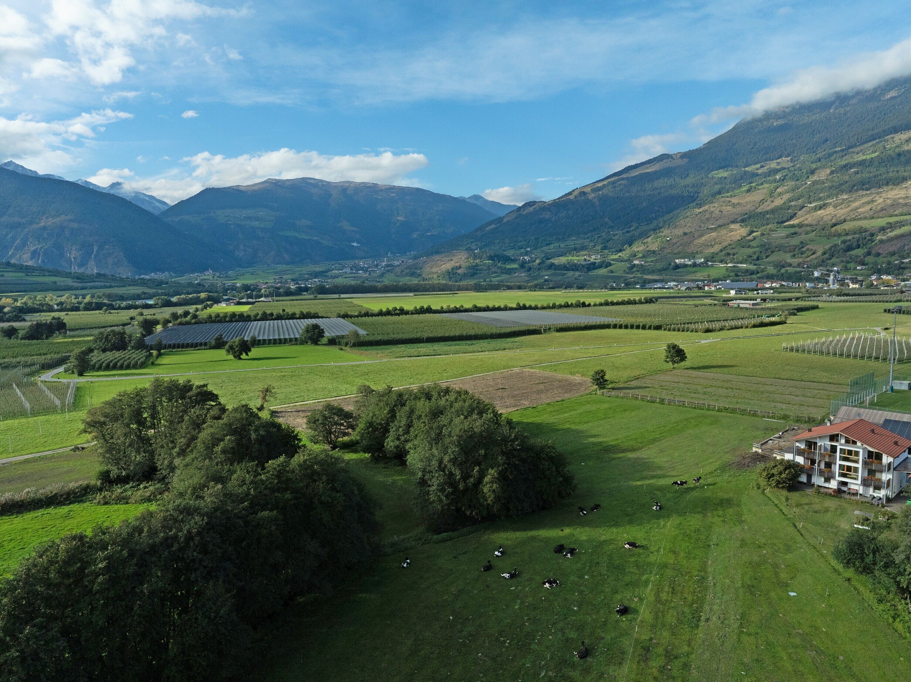 A rural landscape with a farm, green fields, and mountains in the background.