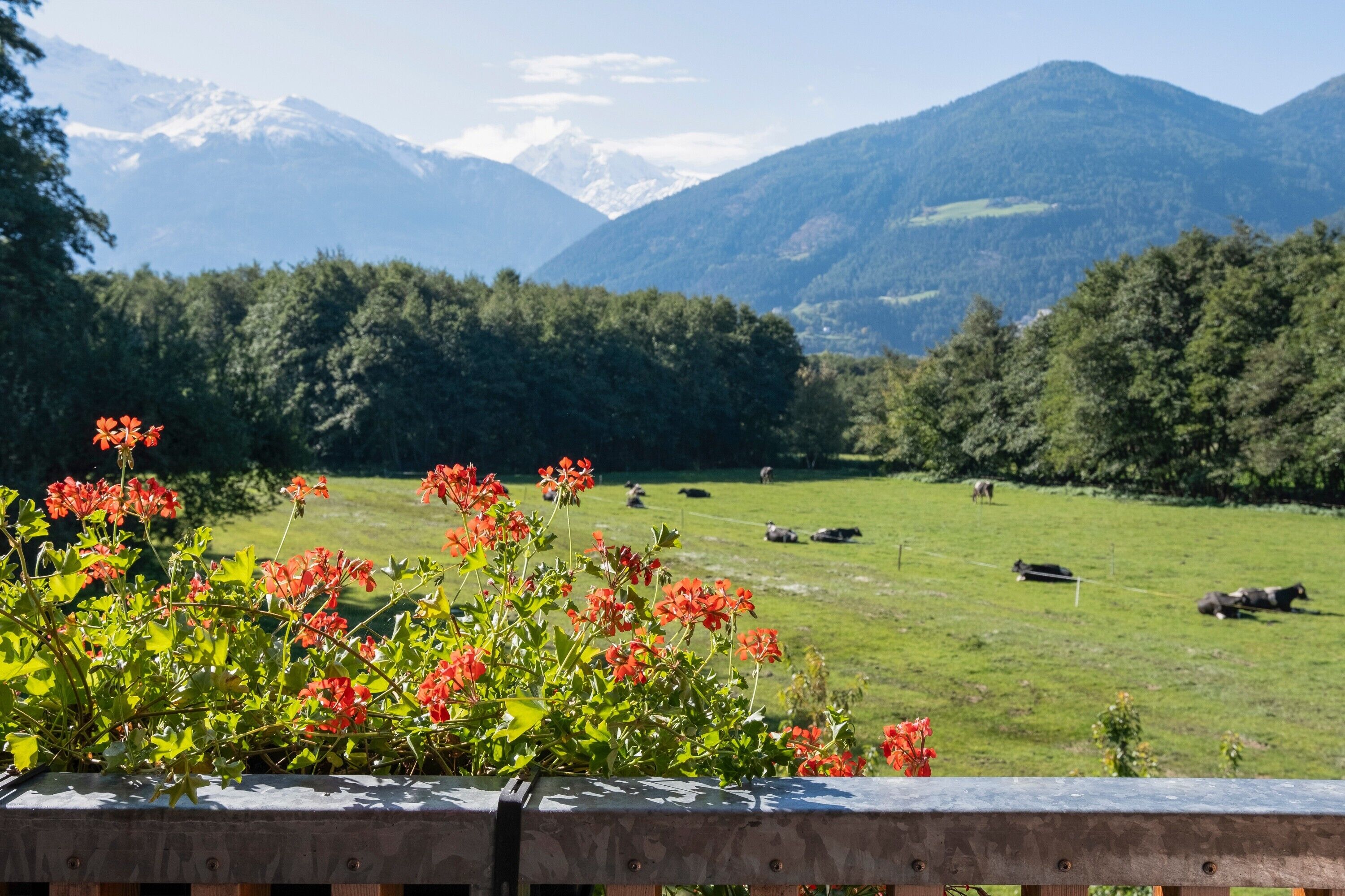 Parco della struttura