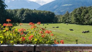 Eine gebirgige Landschaft mit einer grünen Wiese und Kühen.