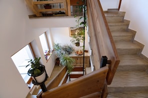 Un interior de varios niveles con escaleras de madera, plantas en macetas y vistas al exterior a través de amplias ventanas.