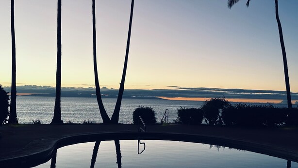 A pool with palm trees and a view of the water. - Ocean, freshness, vibe; 1 bedroom + loft + sofas. (Maunaloa)