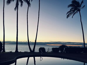 A pool with palm trees and a view of the water. - Ocean, freshness, vibe; 1 bedroom + loft + sofas. (Maunaloa)