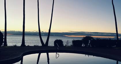 Ocean, freshness, vibe; 1 bedroom + loft + sofas.