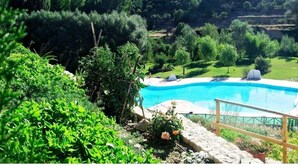 Una piscina circondata da vegetazione rigogliosa e un sentiero in pietra.