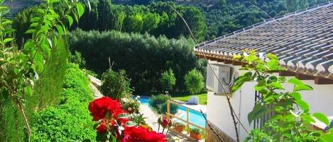 المنطقة المحيطة بالمنشأة