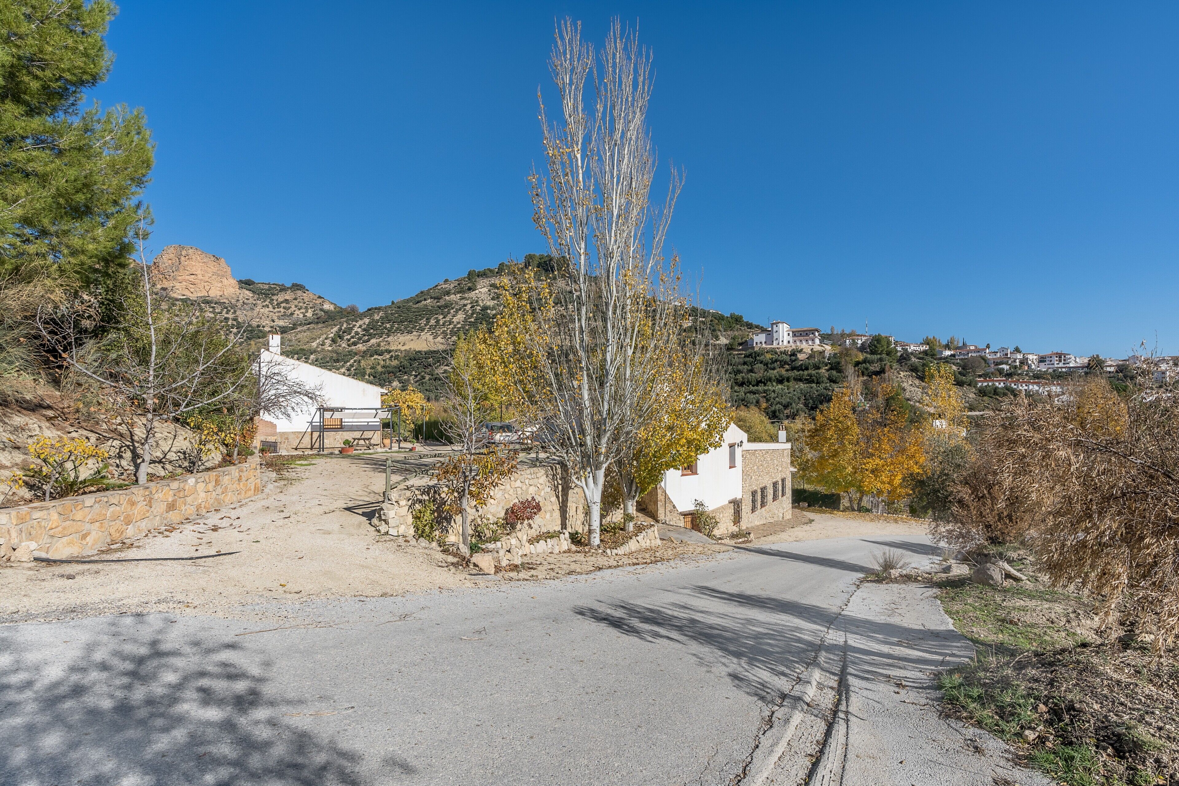 Un camí rural que condueix a un edifici blanc amb mur de pedra, envoltat d'arbres i un turó al fons.