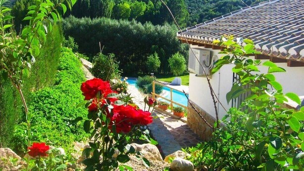 Un jardín con piscina, rodeado de vegetación y colinas.