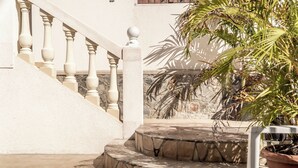 A set of stone steps leading up to a white balustrade, a palm tree, and a potted plant.
