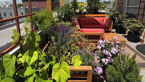 Een dakbalkon met houten plantenbakken, een rode bank en een houten ladder.