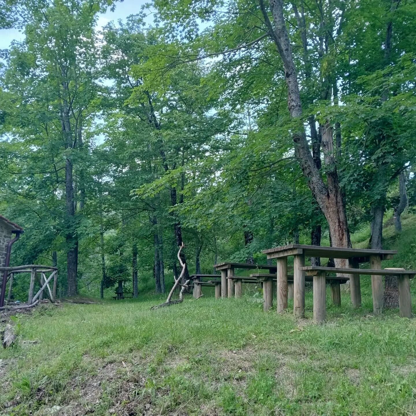 Área da propriedade