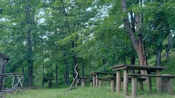 Área da propriedade