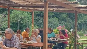 An outdoor dining area with wooden tables and chairs, surrounded by greenery and potted plants. - Rifugio 'Camera Nel Verde' with Mountain Views, Shared Garden and Wi-Fi (Poppi)