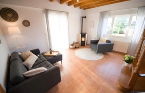 Fernseher, Kamin