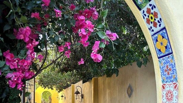 Un estrecho sendero de ladrillo flanqueado por muros con llamativos diseños de azulejos, que conduce a una puerta.