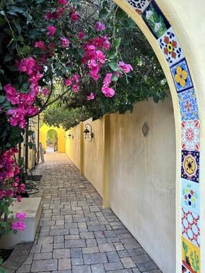 Property grounds - Secluded freestanding house in the delightful grape garden, private spa and pool (Emerald Hills)