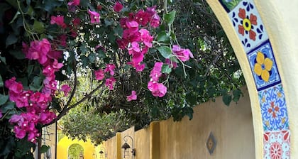 Secluded freestanding house in the delightful grape garden, private spa and pool