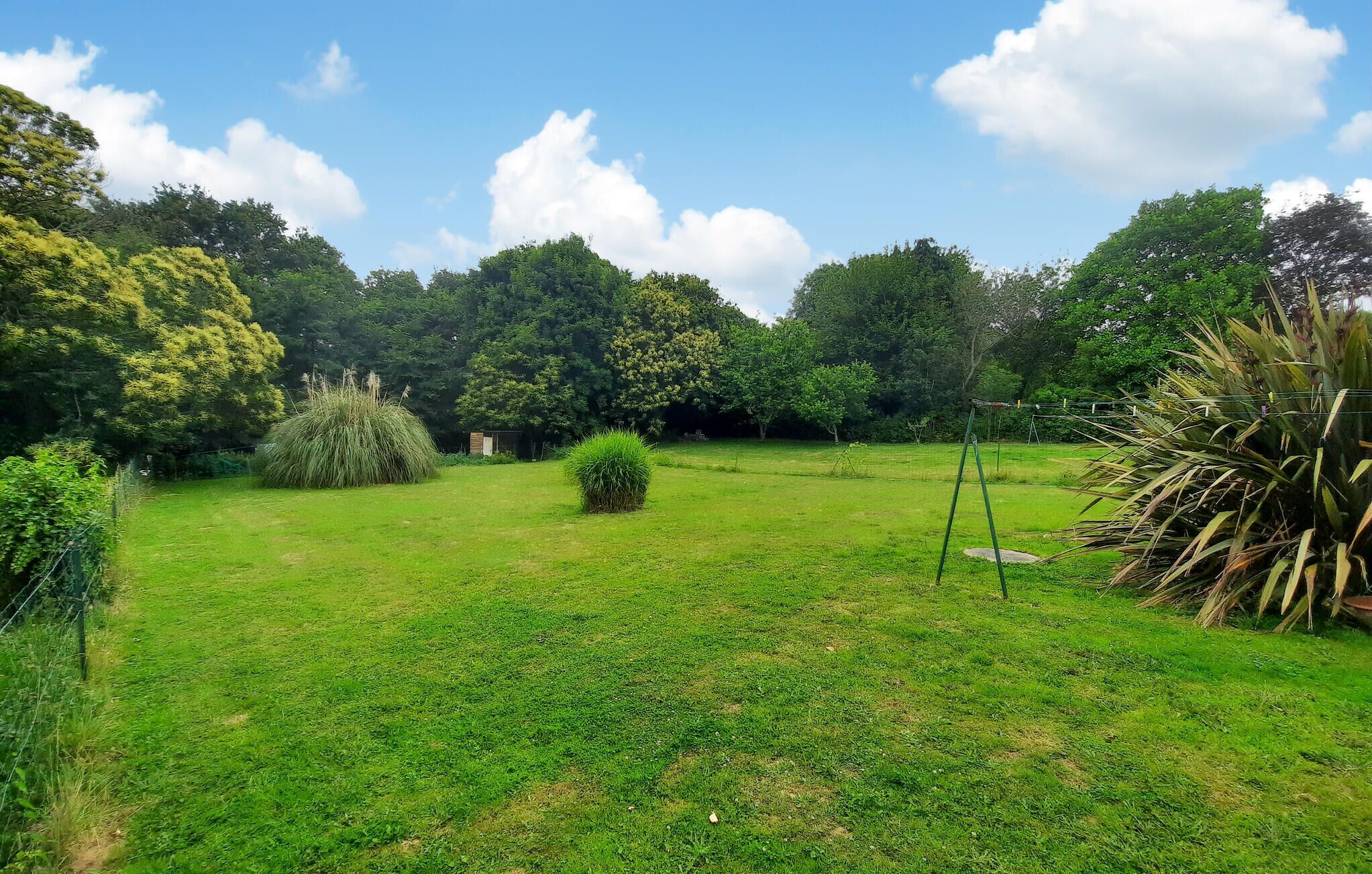 Un espace extérieur verdoyant, avec des arbres et une balançoire.