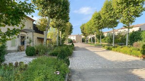Une rue pavée bordée d’arbres et de bâtiments, évoquant un cadre historique ou rural.