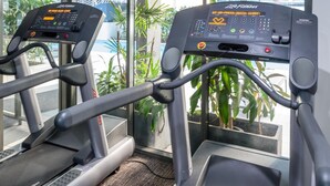 Two treadmills with digital displays, positioned in a room with large windows and indoor plants.