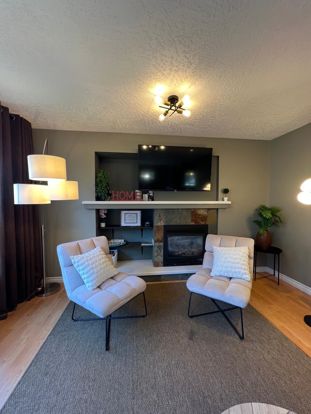 Smart TV, fireplace, video games, books