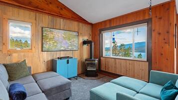 Smart TV, fireplace, video games, computer monitors