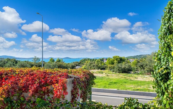 Vista desde la propiedad